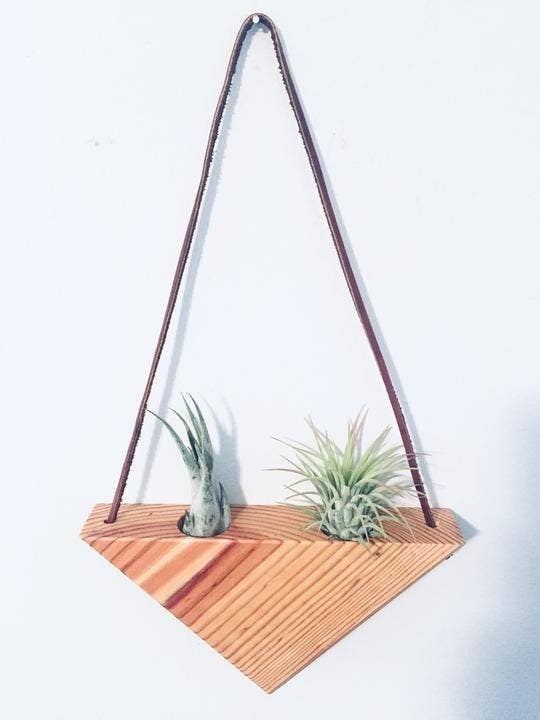 Hanging Triangles x2 Air Plant Hanger – Wildly Urban