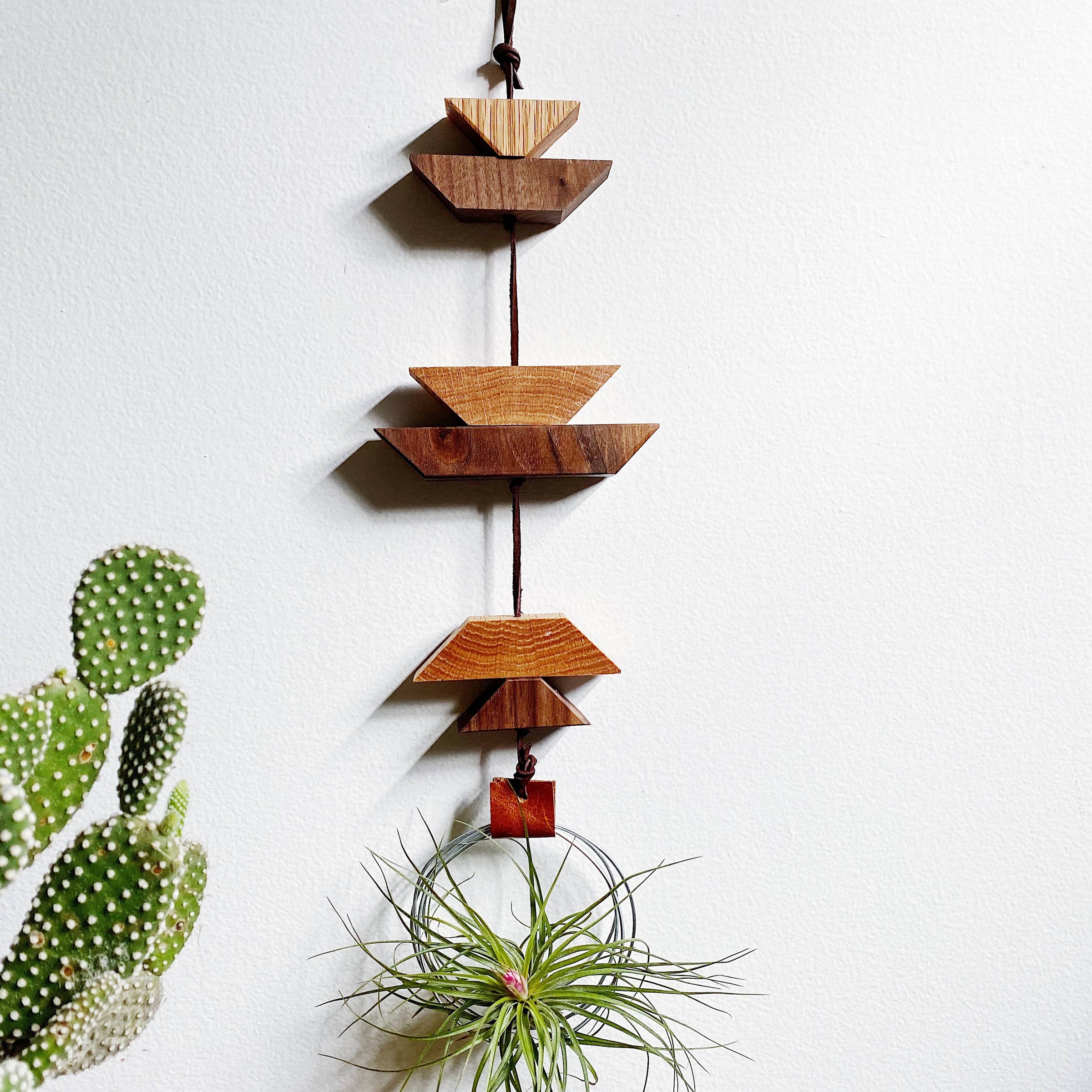 Hanging Triangles x2 Air Plant Hanger – Wildly Urban